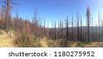 Aftermath of King Fire