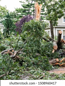 The Aftermath Of A Storm That Took Down Trees And Wires In A Long Island Neighborhood.