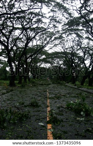 Aftermath of a tropical typhoon