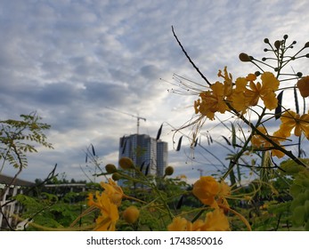 Afternoon In Bumi Serpong Damai, Indonesia 