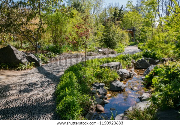 Afternoon View Beautiful Denver Botanic Gardens Stock Photo Edit