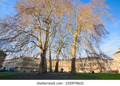 Afternoon view of The Circus, a historic street of large townhouses in the city of Bath, Somerset, England, forming a circle with three entrances with a tree-lined garden in the middle