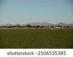 Afternoon view of of the city of Somerton, Arizona, USA.