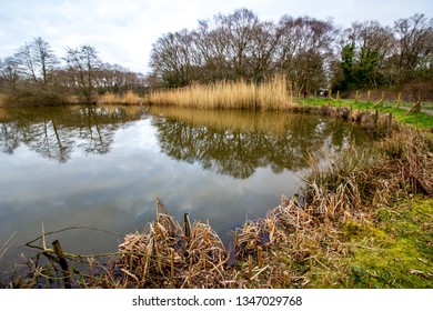 Afternoon Walk At The Lindow Common Public Park In Wilmslow, Cheshire