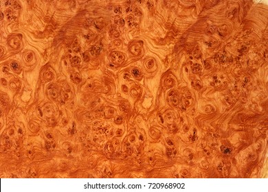 Afzelia wood burl Exotic For Picture Prints