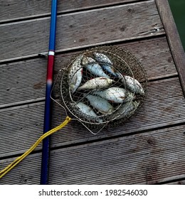 Against The Background Of A Wooden Bridge,a Net Basket With Caught Fish,next To A Fishermans Fishing Rod.