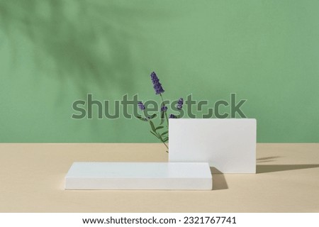 Against green background, two white podiums displayed with few lavender flowers. Stage showcase on minimal podium to show cosmetic product extracted from Lavender (Lavandula)