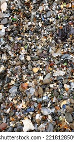 Agate Beach Close Photo California