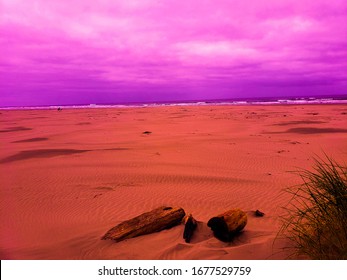 Agate Beach  In Newport Oregon 