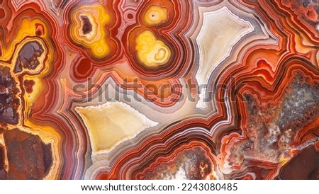 Agate mineral stone with colorful and incredibly bizarre texture
