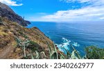 Agava cactus plant with scenic view of Atlantic Ocean coastline and Anaga mountain range. Tenerife, Canary Islands, Spain, Europe. Looking at Roque de las Animas. Hiking trail from Afur to Taganana