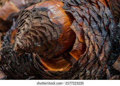 Agave Pine Cut Process Closeup