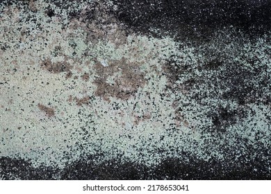 Aged Cement Or Concrete Wall In Bali With Green And Black Mold Texture Grunge Background