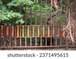 Aged fence with its guardian