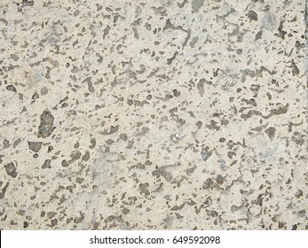 Aged Grey Coquina Texture
