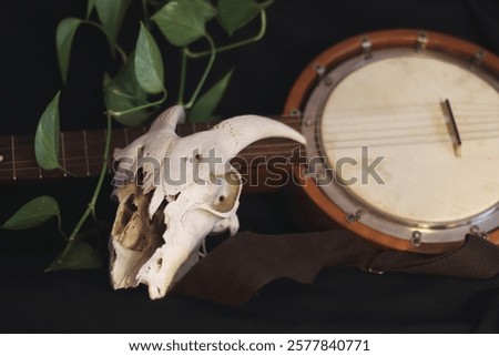 An aged instrument and a weathered skull rest entwined, symbols of sound and silence