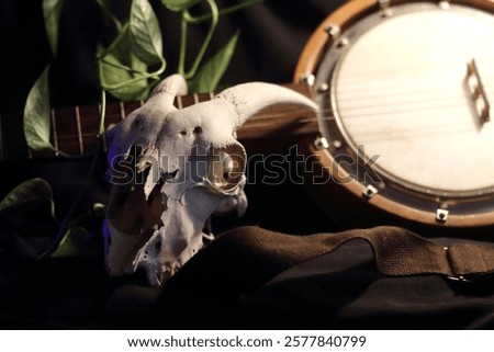 An aged instrument and a weathered skull rest entwined, symbols of sound and silence