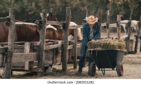 1,661 Man feeding horse Images, Stock Photos & Vectors | Shutterstock