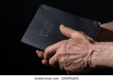 Aged Man's Hands Holding The Bible