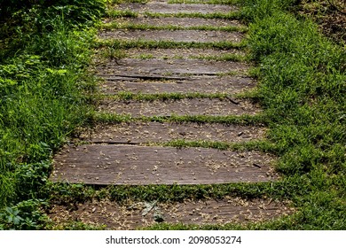 Aged Shabby Planks On Backyard Footpath Landscaped From Wooden Way Among Overgrown Green Grass And Bushes Lit By Sunlight, Path Going Into Perspective.