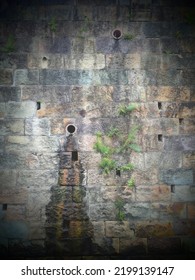 Aged Stone Wall With Flora And Stormwater On Brisbane's Riverside Walk.