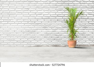 Aged Street Concrete Floor On Brick Wall Texture Ideal For Interior Work