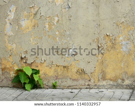 Similar – Image, Stock Photo biomass heating