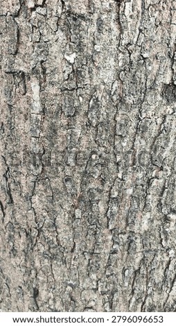 Aged Tree Bark Texture with Deep Grooves and Rough Natural Patterns, Showcasing Weathered Wood Surface in Warm Natural Daylight, Captured with Macro Close-Up Photography Style, Ideal for Nature Backgrounds, Organic Design Elements, and Eco-Themed Commercial Use