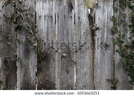 Aged Wood Planks Textures