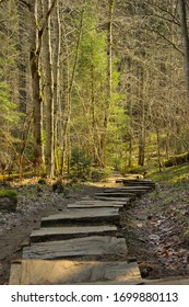 Aged Wooden Beams That Make A Path In Woods. Taking A Walk In The Woods. 