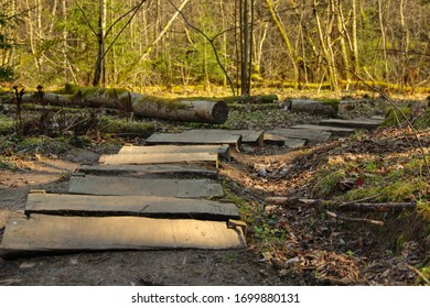 Aged Wooden Beams That Make A Path In Woods. Taking A Walk In The Woods. 