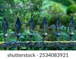 The aged wrought iron fence features intricate spearhead tops and is covered in moss, blending into the vibrant green landscape of a well-maintained garden.