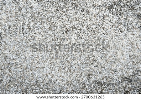​Exposed aggregate concrete texture with small, white and light brown pebbles creating a durable, textured surface. Ideal background for construction, architecture, or abstract designs.