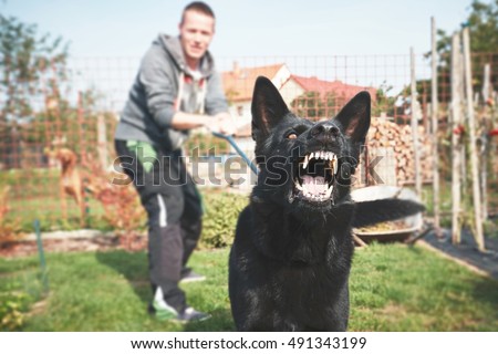Aggressive dog is barking. Young man with angry black dog on the leash. 