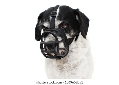 Muzzle