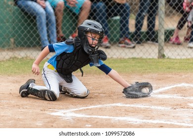 Agile Little League Baseball Catcher Lunging For A Low Pitch In The Dirt In A Cloud Of Chalk.