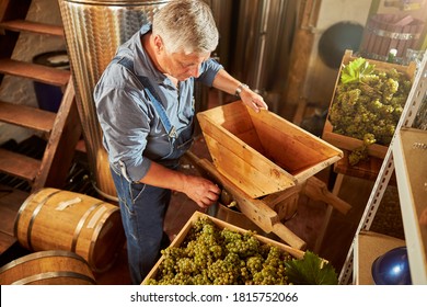 Agine Winery Worker Preparing A Wooden Press For Crushing Grapes At The Winery