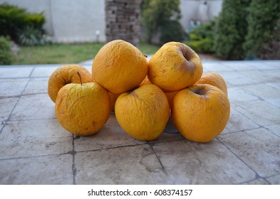 aging apples