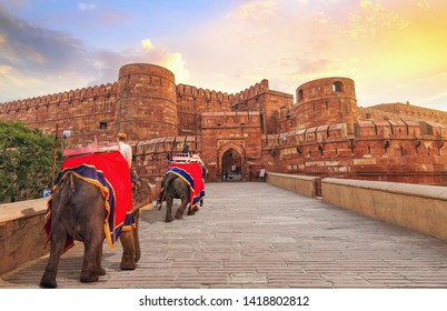 Agra Fort at sunrise with view of tourist enjoying elephant ride along the main entrance. Agra Fort is a UNESCO World Heritage site