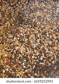 Agregate stone texture and pattern as a docorative element in the garden
