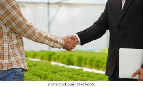 Agribusiness concept, Farmer and businessman shaking hand with hydroponic farm background
