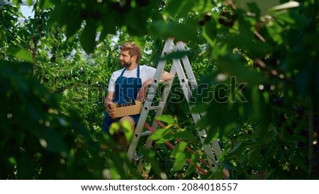 Similar – Image, Stock Photo Hardworking workers