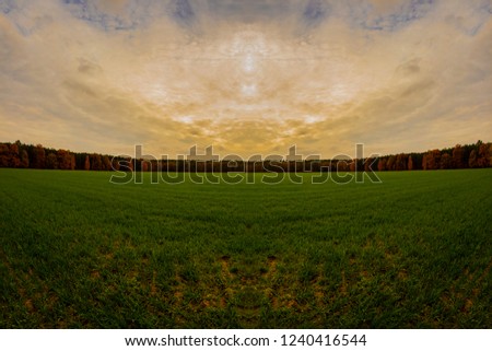 Similar – Image, Stock Photo Harmonious landscape panorama with an expansive meadow of golden yellow wild grasses and a green mixed forest in the background (Germany, midsummer)