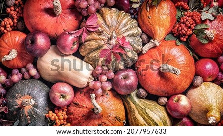 Аutumn agricultural background from the harvest of fruits and vegetables, flat lay, top view