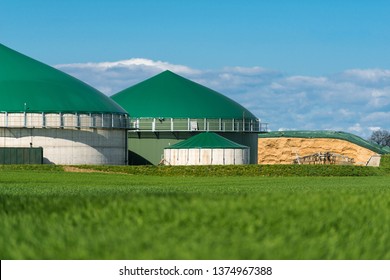 Agricultural biogas plant with maize chopper stockpile