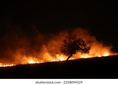 agricultural farm burning burin night - Shutterstock ID 2258094529