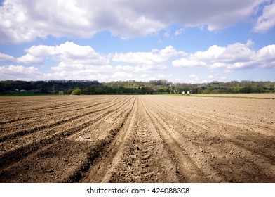 Agricultural Farmers Empty  Field