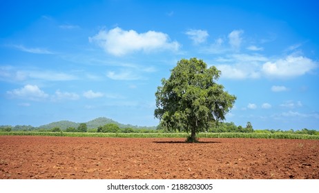 Agricultural Farmers Empty Field Land On The Field For Planting  Bright Spring Photo.The Process Of Preparing The Soil Before Planting.Agricultural Landscape, Arable Crop Field. 