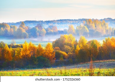 Latvia Nature Images, & Vectors | Shutterstock