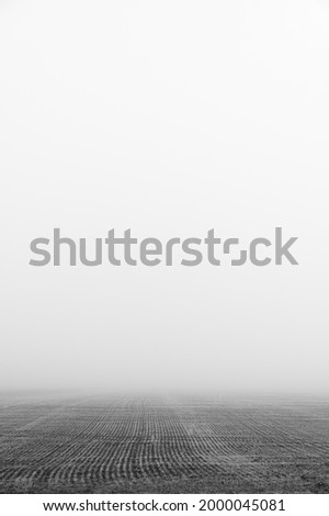 Agricultural field in the fog. Minimal composition, monochrome image. Place for text
